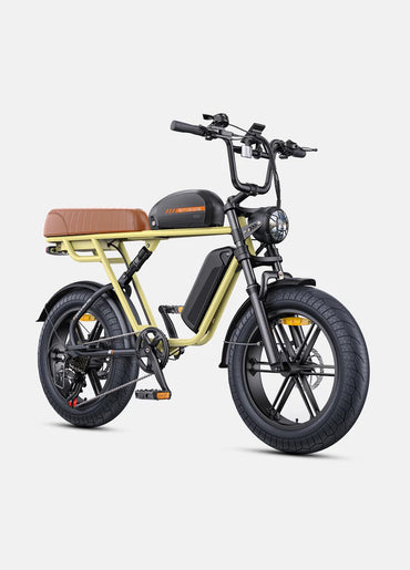 ENGWE M1 - EU-Standard 65Nm Torque Motorcycle-styled E-bike