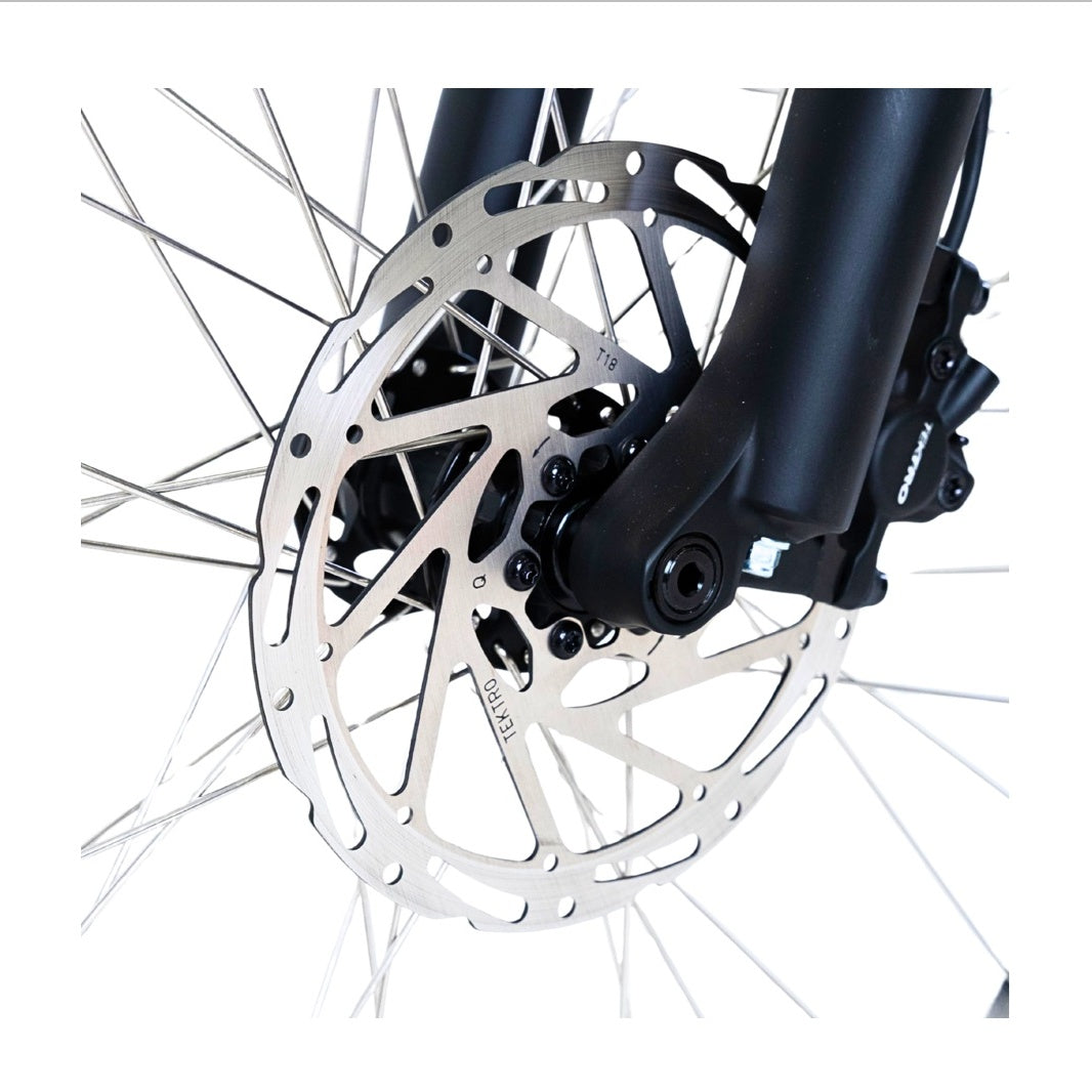 Budlong Catanila E-Bike Pearl White Made In Japan