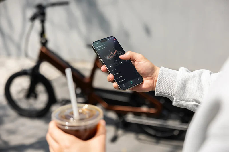 TARRAN L1 Cargo eBike