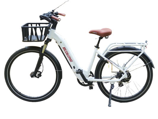 Budlong Catanila E-Bike