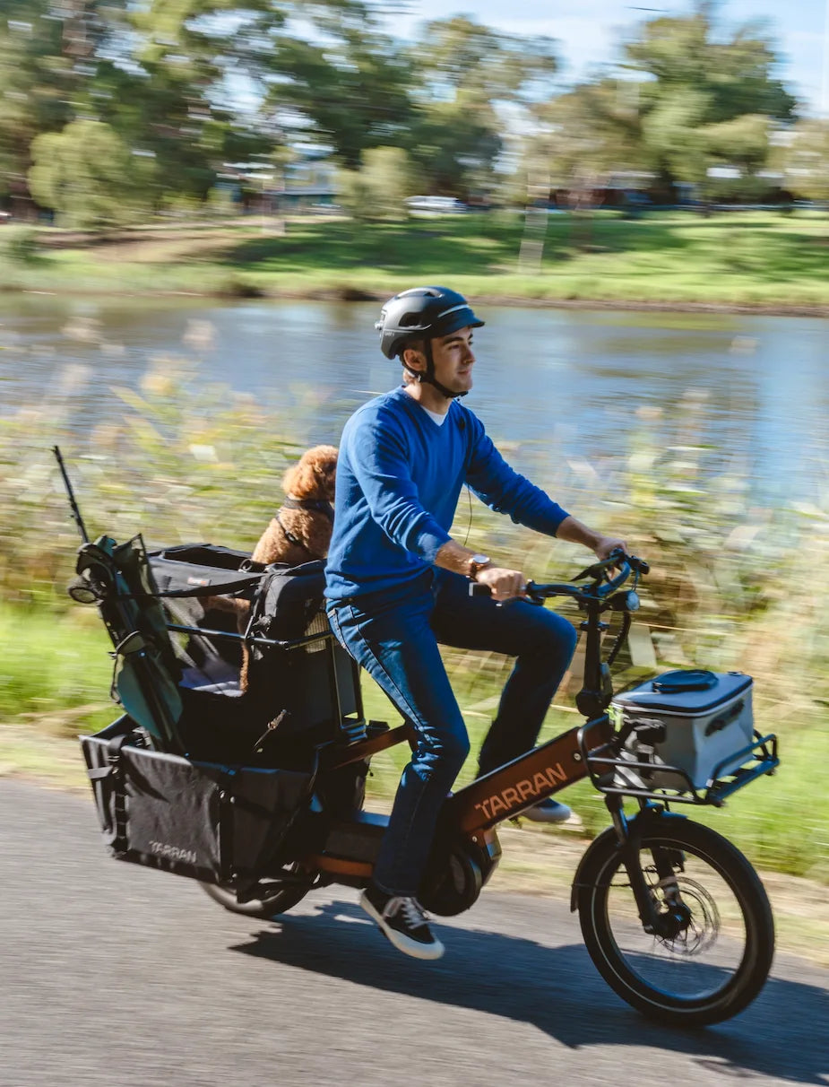 TARRAN L1 Cargo eBike