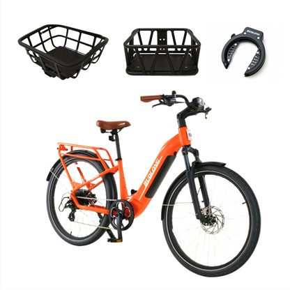 Thanksgiving & Christmas Special Offer- Sunny Orange