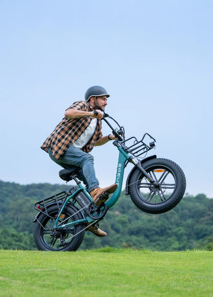 EGWEN L20 Boost - 250W 126KM Range Torque Sensor Electric Fat Bike with a Boost Button