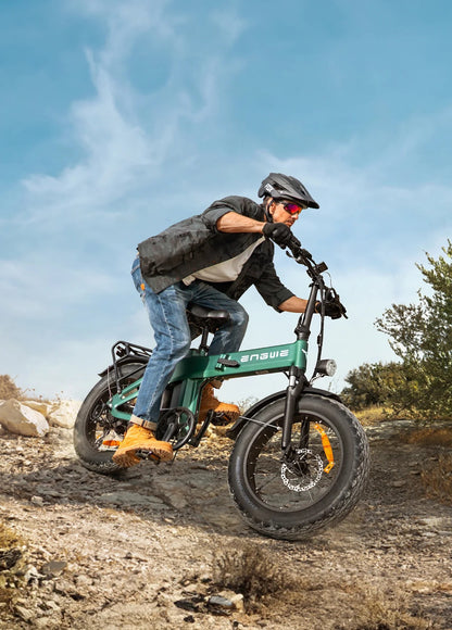 EGWEN EP-2 3.0 Boost - EU Legal 250W 75Nm 120km Torque Sensor E-Bike