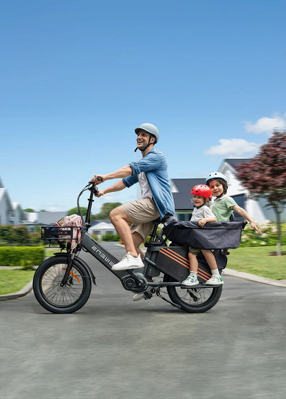 EGWEN LE20 - EU Version)250W Mid-drive Motor 350KM Super Long Range Cargo E Bike